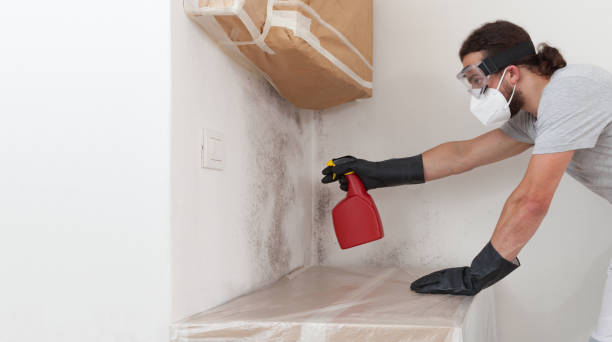 Professional Mold Inspection And Testing technician working in Clementon, NJ